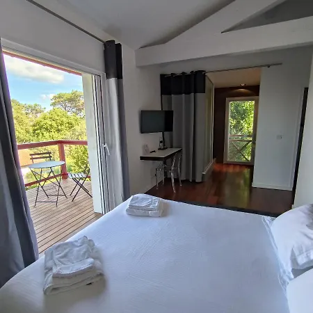 Lafitenia Resort Villa Cenitz-2
